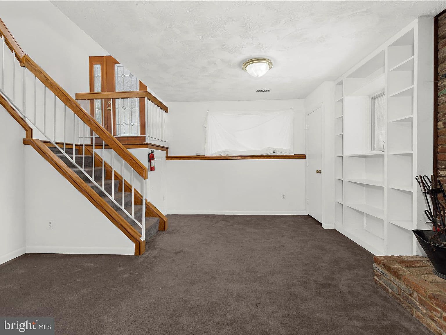 Basement Carpet
